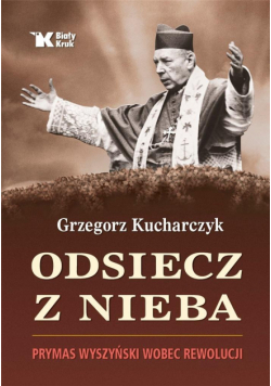 Odsiecz z nieba