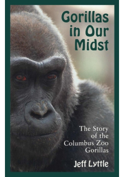 Gorillas In Our Midst
