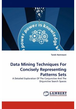 Data Mining Techniques for Concisely Representing Patterns Sets