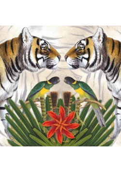Karnet kwadrat z kopertą Bengal Tiger