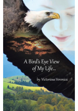 A Bird's Eye View of My Life