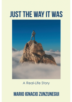 Just The Way It Was