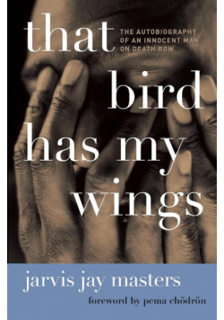 That Bird Has My Wings