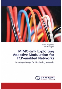 MIMO-Link Exploiting Adaptive Modulation for TCP-enabled Networks