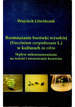 Rozmnażanie borówki wysokiej w kulturach in vitro