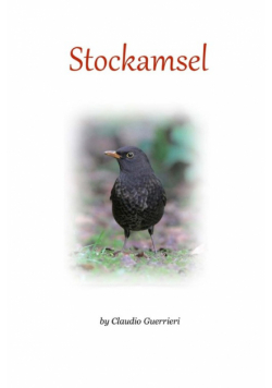 Stockamsel