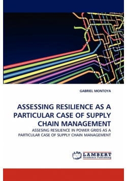 Assessing Resilience As A Particular Case Of Supply Chain Management