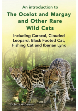 An introduction to The Ocelot and Margay and Other Rare Wild Cats Including Caracal, Clouded Leopard, Black Footed Cat, Fishing Cat and Iberian Lynx