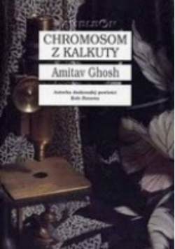 Chromosom z Kalkuty