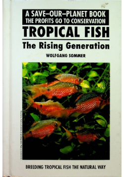 Tropical Fish