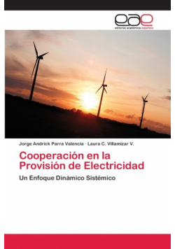 Cooperación en la Provisión de Electricidad