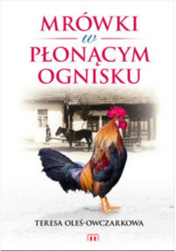 Mrówki w płonącym ognisku