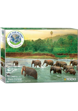Puzzle 1000 Save our planet, Las deszczowy