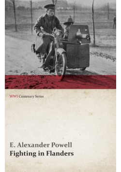 Fighting in Flanders (WWI Centenary Series)