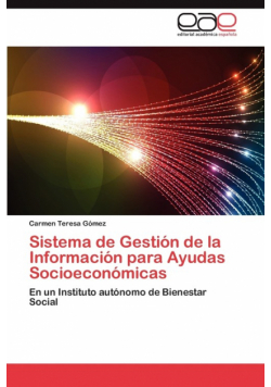 Sistema de Gestion de La Informacion Para Ayudas Socioeconomicas