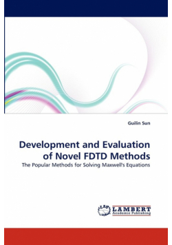 Development and Evaluation of Novel FDTD Methods