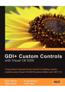 GDI+ Custom Controls with Visual C# 2005