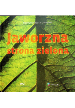 Jaworzna strona zielona
