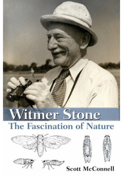 Witmer Stone