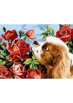 Malowanie po numerach 30x40cm Piesek i róże