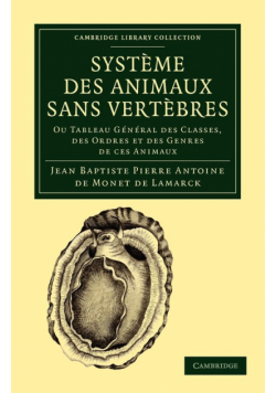 Systeme Des Animaux Sans Vertebres