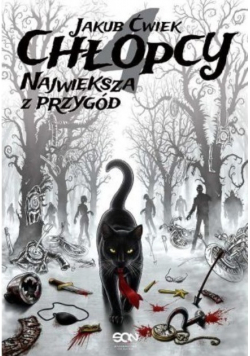 Chłopcy Największa z przygód