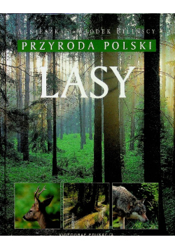 Lasy