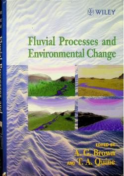 Fluvial Processes and Environmental Change