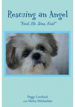 Rescuing an Angel