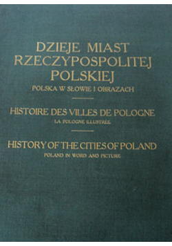 Dzieje miast Rzeczypospolitej Polskiej Polska w słowie i obrazach 1928 r