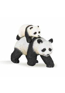 Panda z młodym