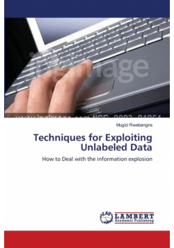 Techniques for Exploiting Unlabeled Data