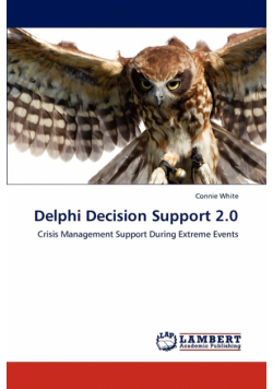 Delphi Decision Support 2.0