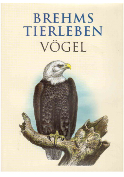 Brehms tierleben vogel