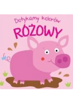 Dotykamy kolorów. Różowy