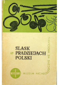 Śląsk w pradziejach Polski
