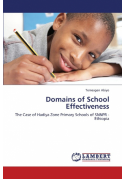 Domains of School Effectiveness