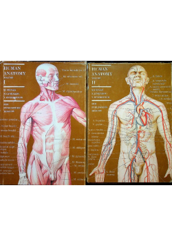 Human Anatomy Volume I and II