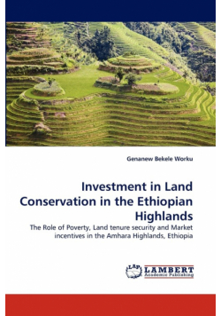 Investment in Land Conservation in the Ethiopian Highlands