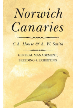 Norwich Canaries