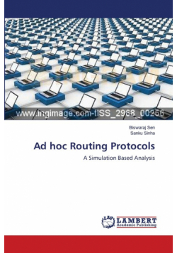 Ad hoc Routing Protocols