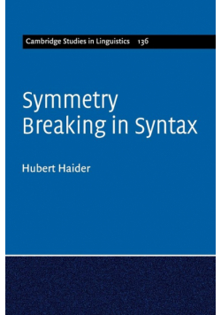 Symmetry Breaking in Syntax