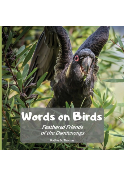 Words on Birds