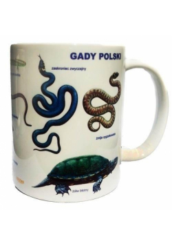 Kubek - Gady SOLITON