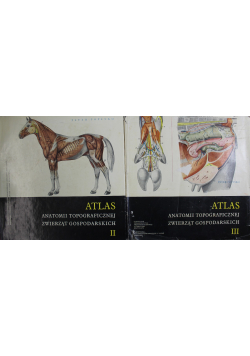 Atlas anatomii topograficznej zwierząt tom 2 i 3