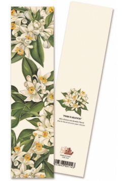 Zakładka do książki 9114 Fiori D'arancio Kwiat