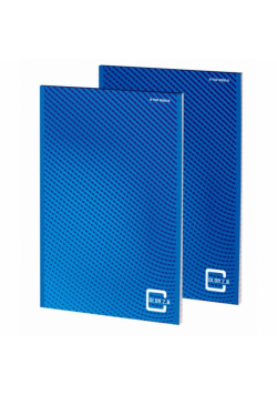 Blok notatnikowy A5/50K kratka Color 2.0 (10szt)