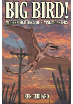 Big Bird! - Modern Sightings Of Flying Monsters