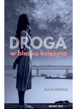 Droga w blasku księżyca