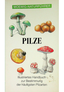 Pilze